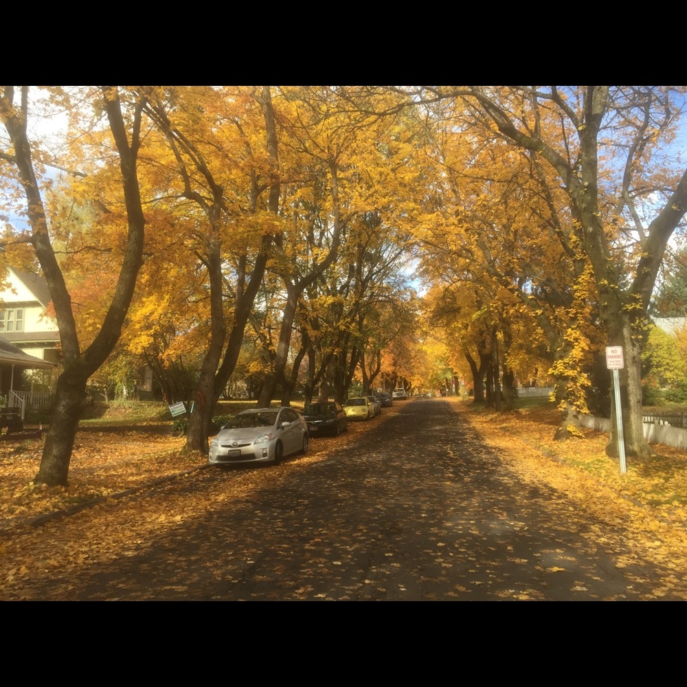 Meet your Posher, Maryam